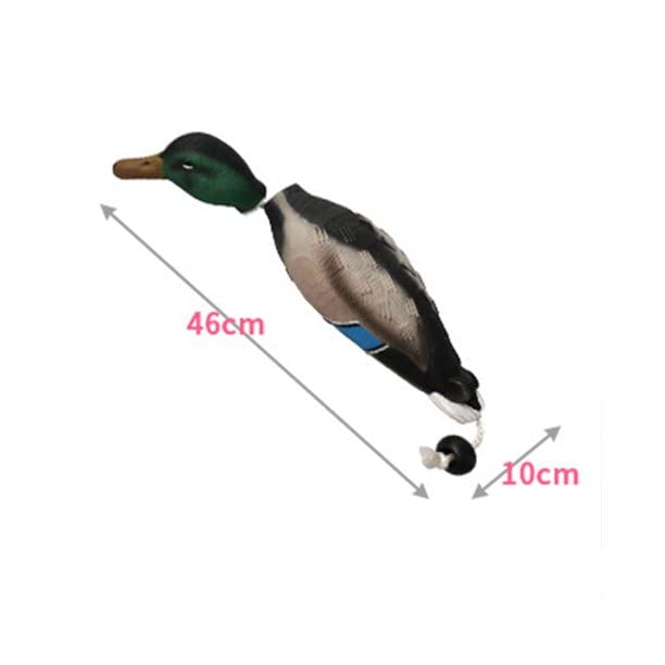 HUNTARMOR Duck Dummy Bumper: Bird Training Dummy for Training Hunting Dogs, Mimics Dead Duck Bumper Toy for Waterfowl Hunting Retriever Dog Training, Dog Bumper Hunting Dog Accessories