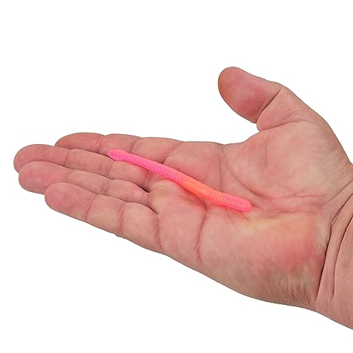 Berkley PowerBait Floating Steelhead Worm Fishing Bait, SB, 4in, Irresistible Flavor, Realistic Worm Profile, Ideal for Steelhead, Salmon, Trout, Bass and More