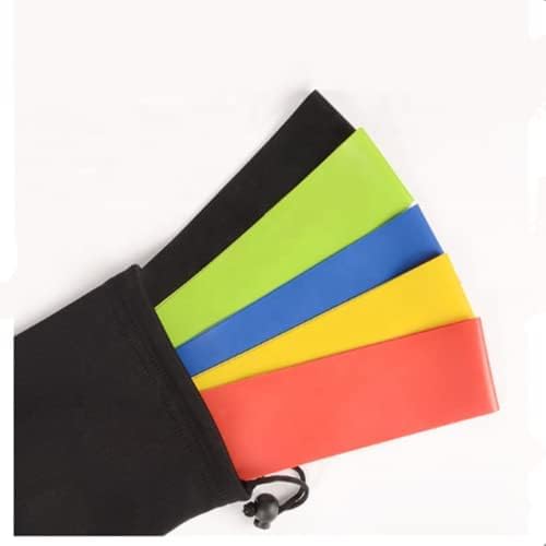 Resistance Loop Exercise Bands and Carry Bag, Exercise Bands for Working Out, Set of 5
