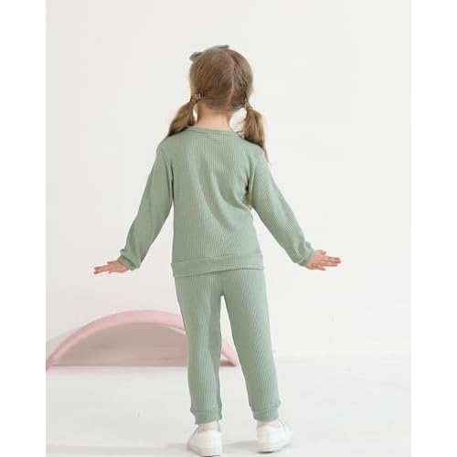 Weebaby Toddler Girl Clothes Infant Girl Sweatsuit Baby Pant Set Outfits Fall Winter Clothing Little Clothes for Girl