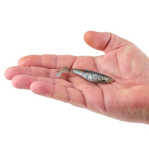 Berkley PowerBait Saltwater The Champ Swimmer Fishing Bait, HD Pinfish, 3in, Irresistible Scent and Flavor, Large Thumping Paddletail Action, Ideal for Bass, Redfish, Snook and More