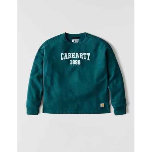 Carhartt womens Loose Fit Midweight Graphic Sweatshirt