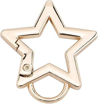 2Pcs Silver Star Shaped Stainless Steel Keychain Clip Carabiner Snap Hook Holder Star Hook Clip Key Holder Carabiner Clip for Keys Chain Accessories