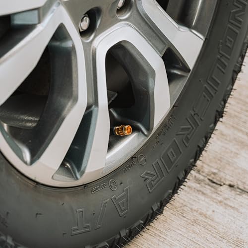 Granite Juicy Nipple Valve Cap with Valve Core Removing Function, Tire Valve Caps Dust Covers for Bikes and Vehicles, Durable Alloy Schrader Valve Cap, 2-Piece Set (Black)