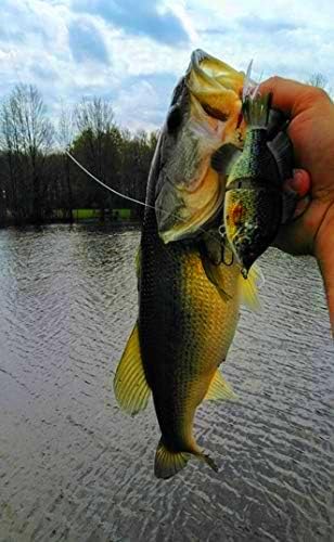 4.5" RF Gillman Glide Bait Bass Musky Striper Fishing Big Lure Multi Jointed Shad Trout Kits Slow Sinking or Floating (Silver Shiner, Floater)