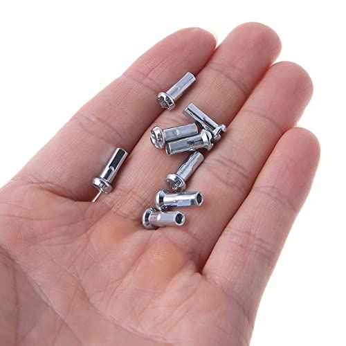 TAODAN Bike Spoke Nipple 100PCS Silver Bicycle Spoke Caps for 14G / 2mm Dia Mountain Road Bike, 12mm Long Cycling End Tip, Wheel Spoke Nipple