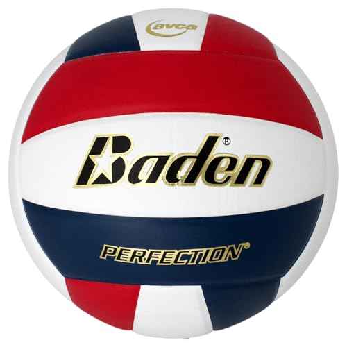 Baden | Perfection | Premium Leather | Indoor Official Game Volleyball | 13U to College | Official Size + Weight | NFHS + AVCA Approved