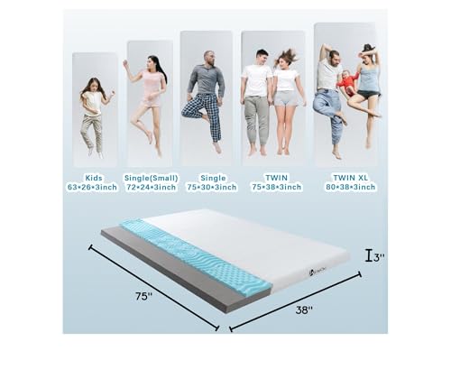 KingChii Memory Foam Camping Mattress, Portable Roll Up Sleeping Pad for Road Trip, Floor Mat Roll Up Futon Mattress for Guests Sleepoverr