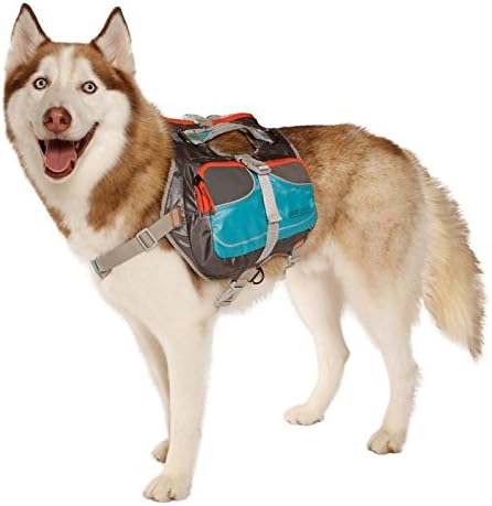 Large Blue Cesar Millan Dog Backpack | Durable Pet Carrier for Hiking & Travel