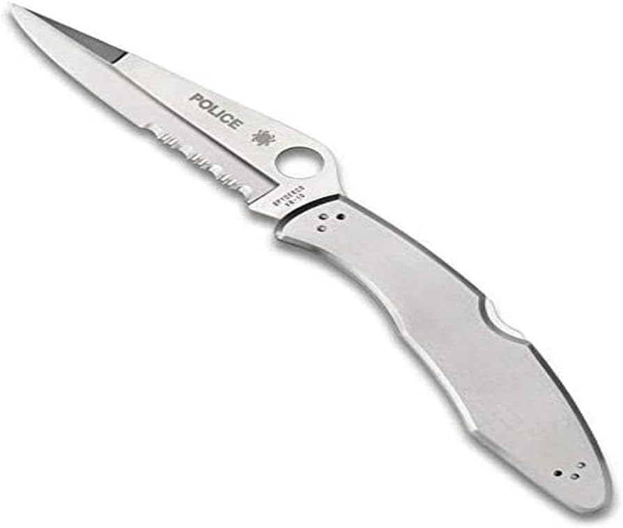 Spyderco Ambitious Lightweight Pocket Knife with 8Cr13MoV Stainless Steel Blade with Black FRN Handle