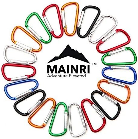 30 pcs Carabiner Clip Keychain Small Caribeaner Clip Keys Chain