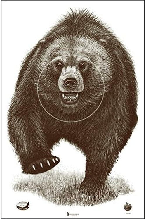 Alaska State Parks Bear Target - Durable Outdoor Shooting Game for All Ages