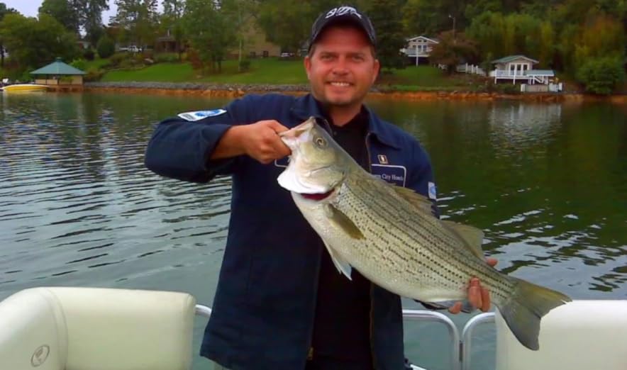 4.5" RF Gillman Glide Bait Bass Musky Striper Fishing Big Lure Multi Jointed Shad Trout Kits Slow Sinking or Floating (Silver Shiner, Floater)