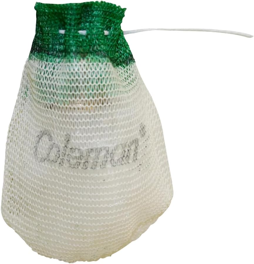 Coleman Lantern Protective Carry Case with Handle, Durable Carry Case for Coleman Lanterns, Provides Protected Storage Space with Room for Mantles