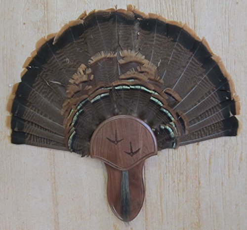 Carved Turkey Mounting Kit with Beard Plate - Black Walnut, Satin Finish