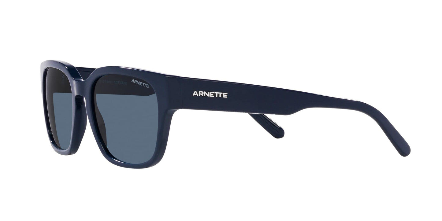 ARNETTE Sunglasses AN 4294 122180 Type Z Navy Blue Dark