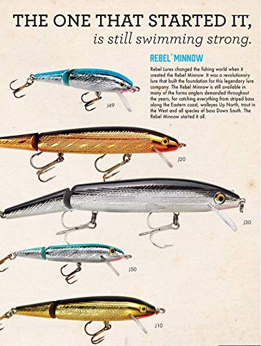 Rebel Jointed Minnow Crankbait Fishing Lure - 1 7/8 in Rainbow Trout