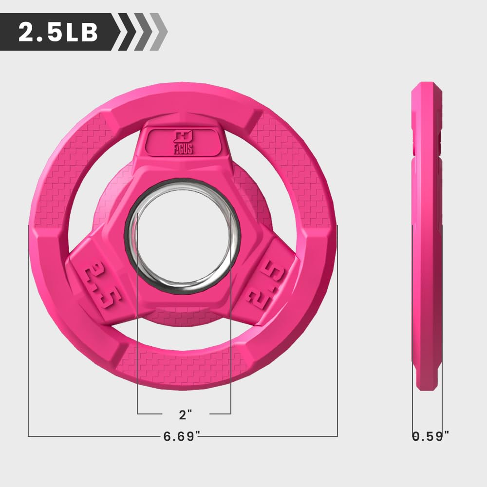 FAGUS H Color Coded Weight Plate 2-Inch Rubber Coated Olympic Grip Plate for Barbell,Solid Cast Iron Weight Plates for Strength Training,Weightlifting,Crossfit,Home Gym,2.5LB Pair