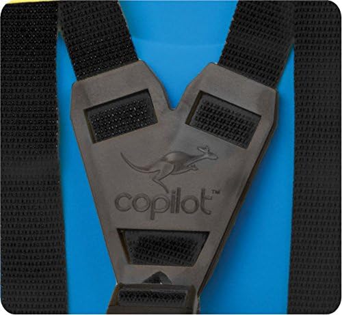 Copilot Child Carrier