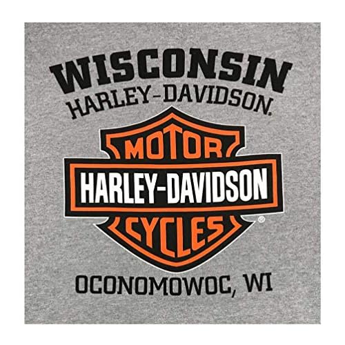 Harley-Davidson Men's Hooded Sweatshirt, Willie G Skull, Gray Hoodie 30296654