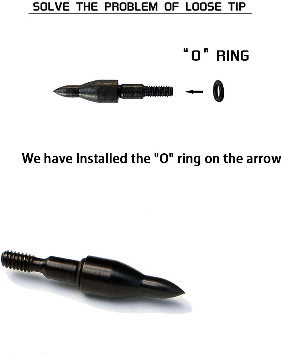 30Inch Carbon Arrow Practice Hunting Arrows with Removable Tips for Compound & Recurve Bow(Pack of 12)