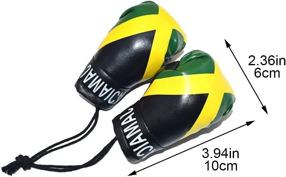 Joayuezo 1 Pair Mini Boxing Gloves Hang Mini Boxing Gloves for Car Mirror Keychain Ornament Car Decoration Accessories for Men and Women (Albania)