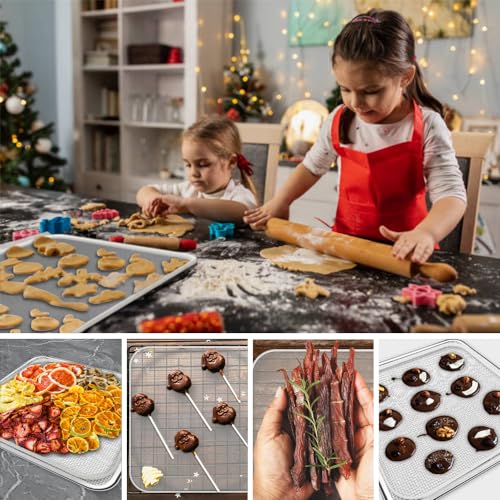 Silicone Food Dehydrator Trays Set with Mesh Mats 11x11in - 8 Pcs