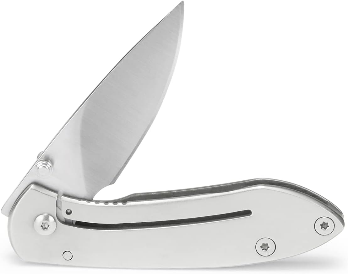 Buck Knives 0325 Colleague Stainless Steel Folding Pocket Knife