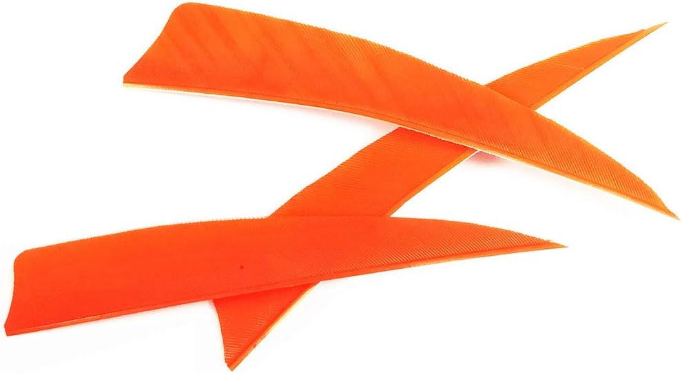 Letszhu Archery Arrows Feather Fletching 4 Inch Real Turkey Vanes for Hunting Target Shooting (25 Pack)