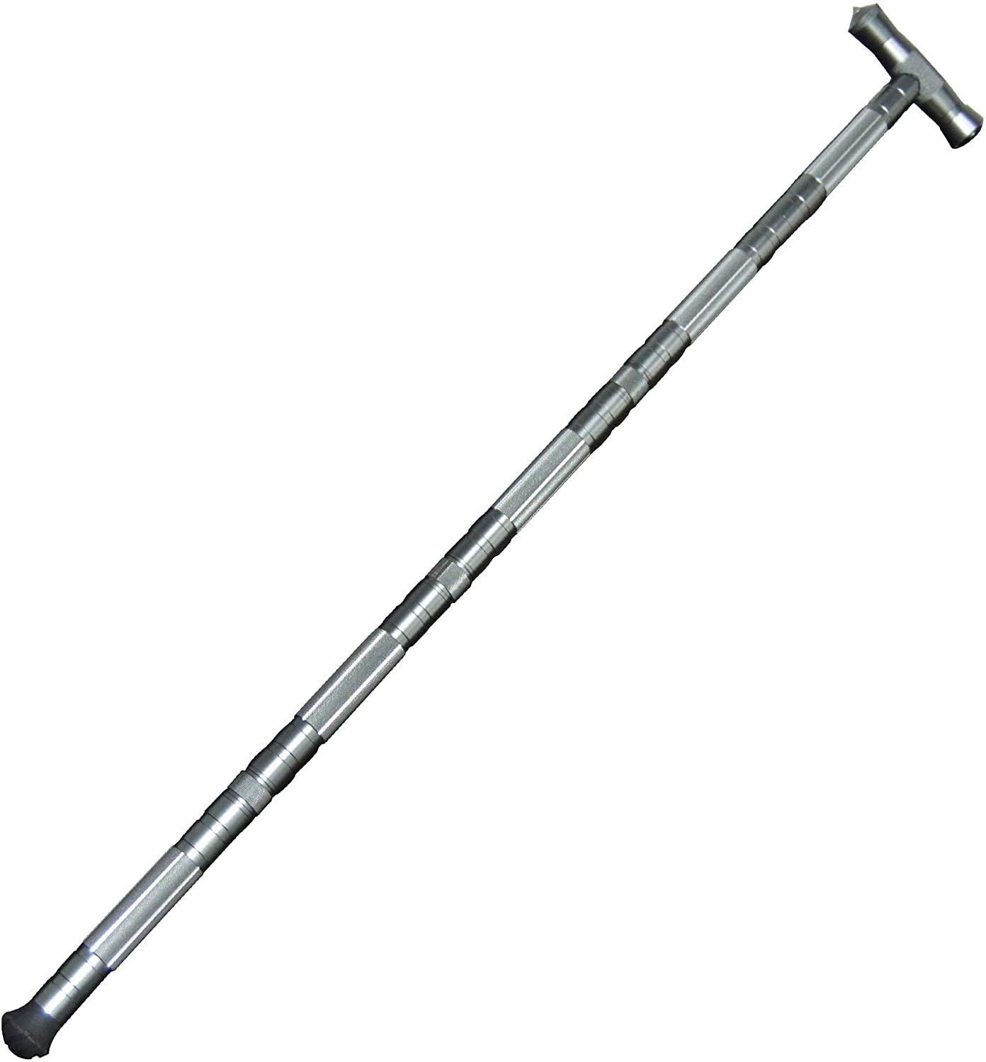 aiGear Premium Walking Hiking Stick and Ext Section