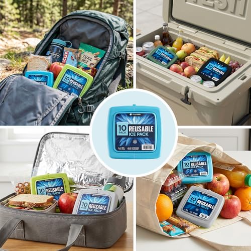 4 Pack Reusable Large Ice Packs for Cooler, Long-Lasting Freezer Packs for Camping and Travel - Variation of Lunch Boxes 10 Pack