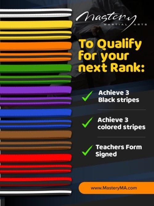 Mastery Leadership (blue belt, 3)