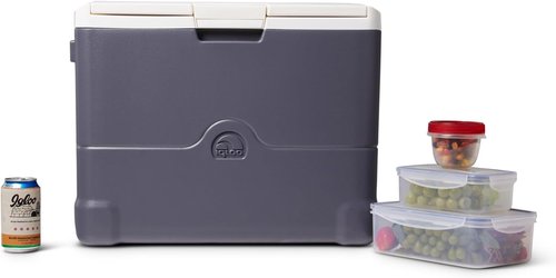 Igloo Iceless Thermoelectric Cooler, Portable Cooler Electric, Plug-in 12V Camping Fridge Cooler, Electric Ice Chest, Hielera Electrica