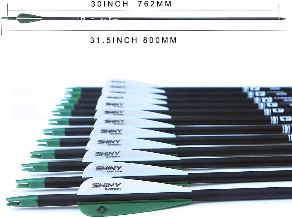 30Inch Carbon Arrow Practice Hunting Arrows with Removable Tips for Compound & Recurve Bow(Pack of 12)