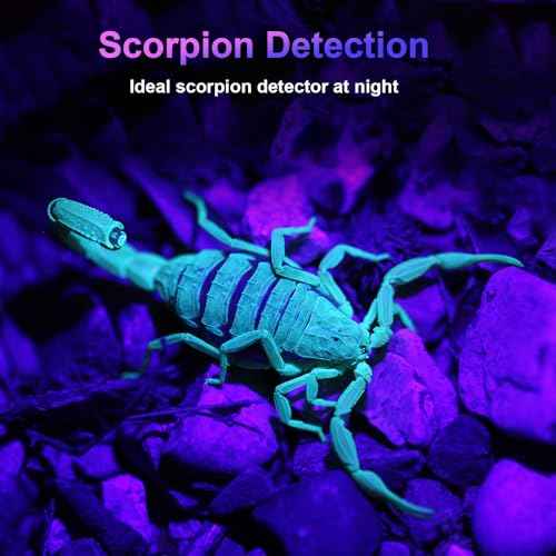 COSOOS 2 Pack UV Flashlight, 365nm USB Rechargeable Black Light Flashlight, Mini Handheld Detector for Dog Cat Urine, Pet Stains, Scorpions, Resin Curing
