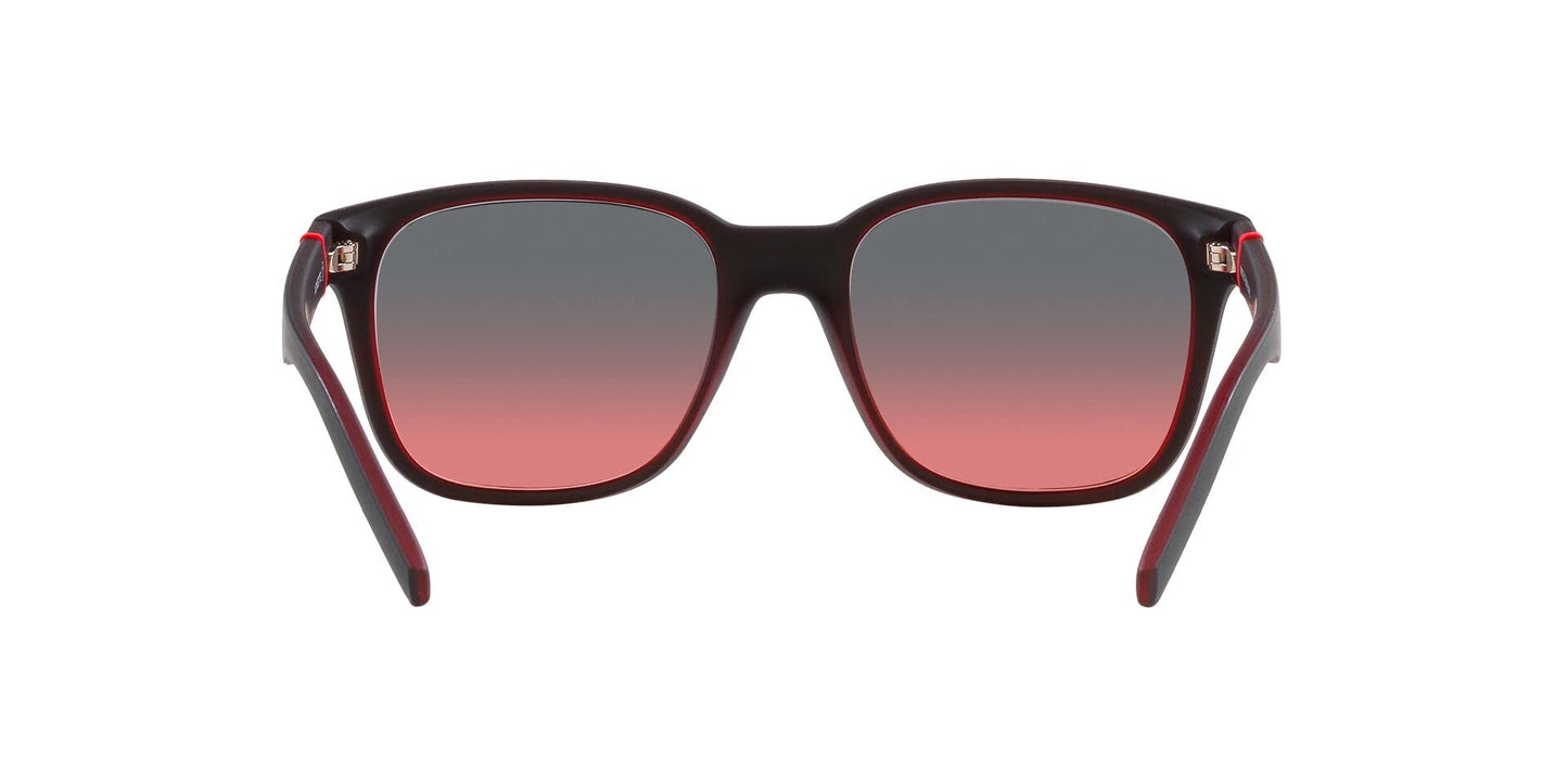ARNETTE Sunglasses AN 4320 286977 Surry H Matte Black/Transp Red