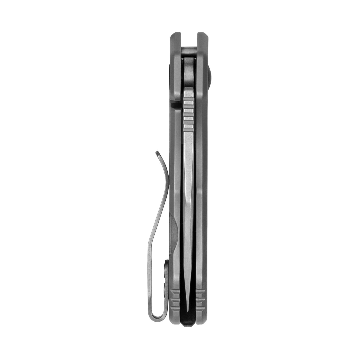 Kershaw Rate Folding Pocket Knife, Small Everyday Carry Knife with Assisted Opening, 8Cr13MoV Stainless Steel Blade, Pocketclip and Lanyard Hole,Grey