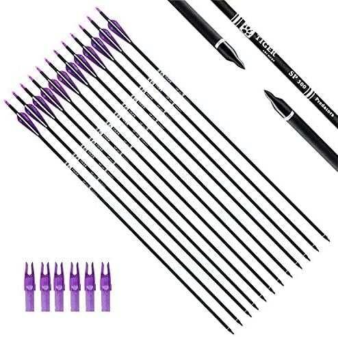 30Inch Carbon Arrow Practice Hunting Arrows with Removable Tips for Compound & Recurve Bow(Pack of 12)