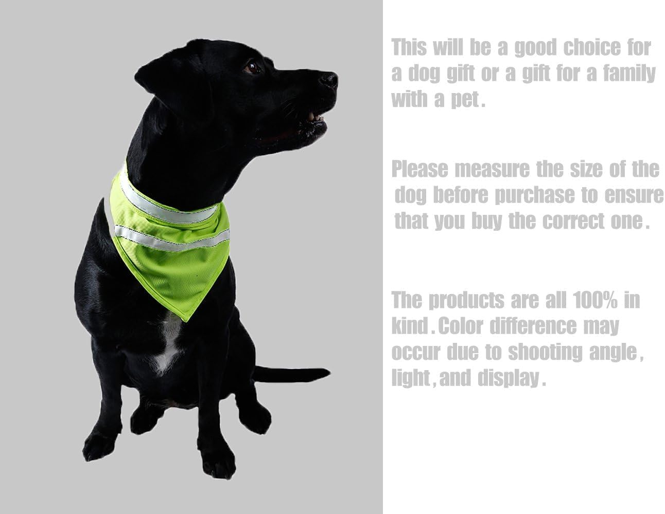 2 Pack Reflective Dog Bandana for Night Safety - High Visibility Adjustable Dog Scarf in Orange/Yellow, Fits Small Medium Large Dogs(Large)