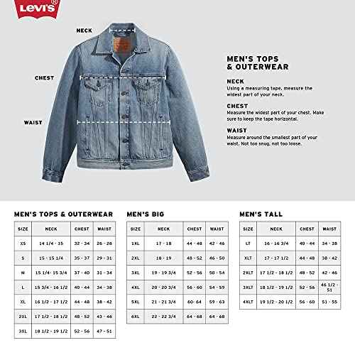 Levi's mens Graphic Hoodie (Also Available in Big & Tall)