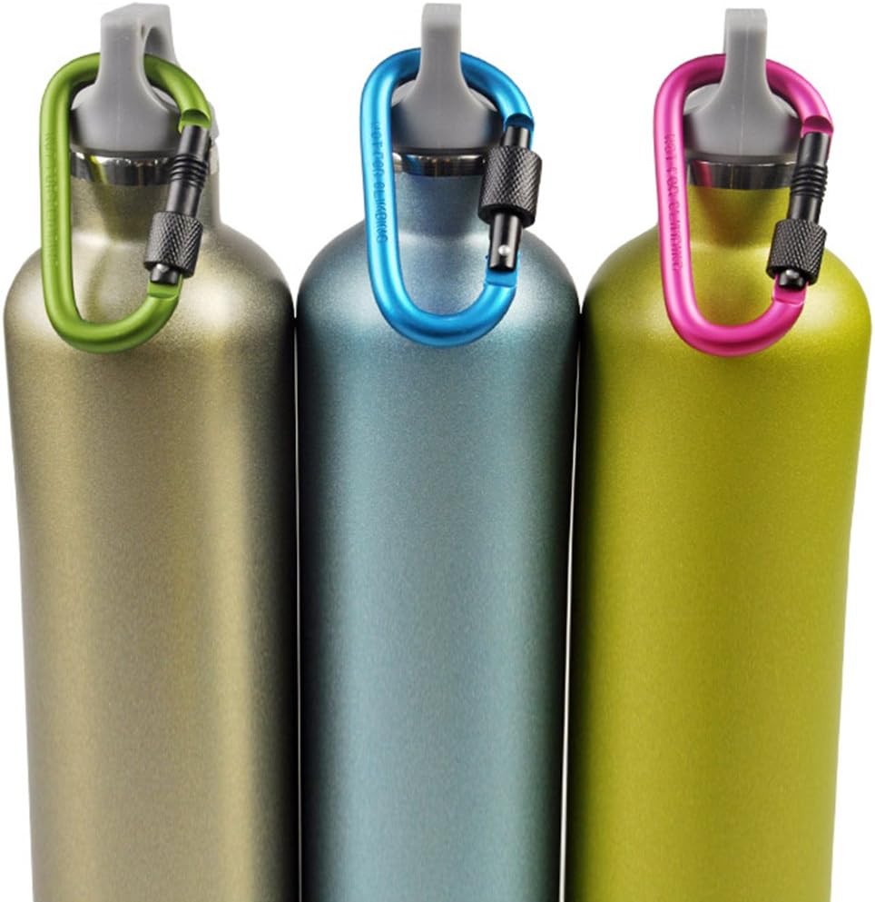 10 Pack Aluminum D-Ring Carabiners, YuCool D Shape Keychain Clips Hook Spring-Loaded for Camping Hiking Fishing, Locking Carabiner,Caribiniers 10 Key Rings - Multi-Color