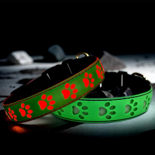 DOGLED LED Light Up Dog Collar, USB-C Rechargeable, Multicolor Paw Print Design, 15 Modes Lighting Night Safety (Green, S(7.87-11.8"))