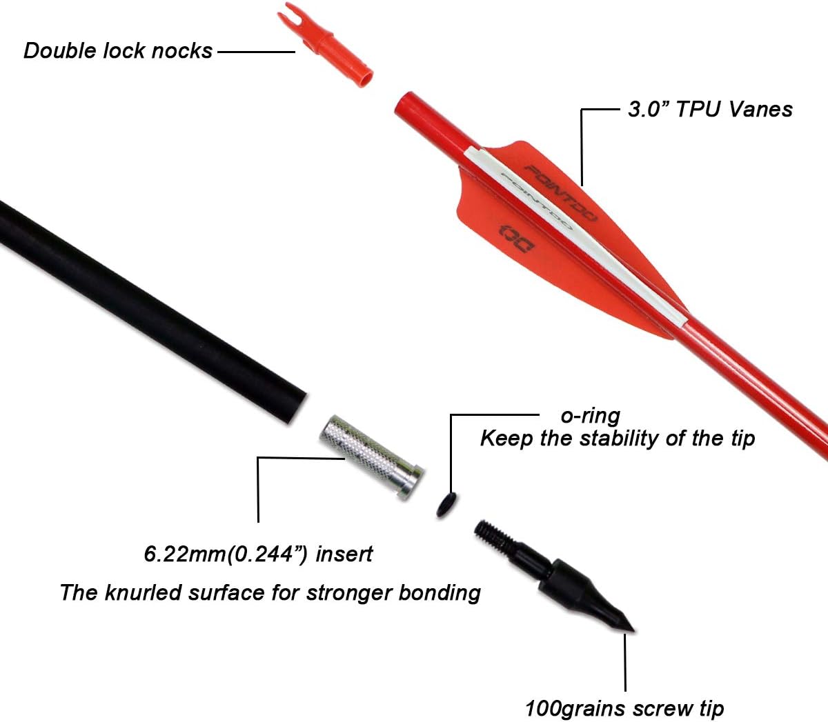 30inch Carbon Arrow Fluorescence Color Targeting and Practice and Hunting Arrows for Compound Bow and Recurve Bow with Removable Tips(Pack of 12)