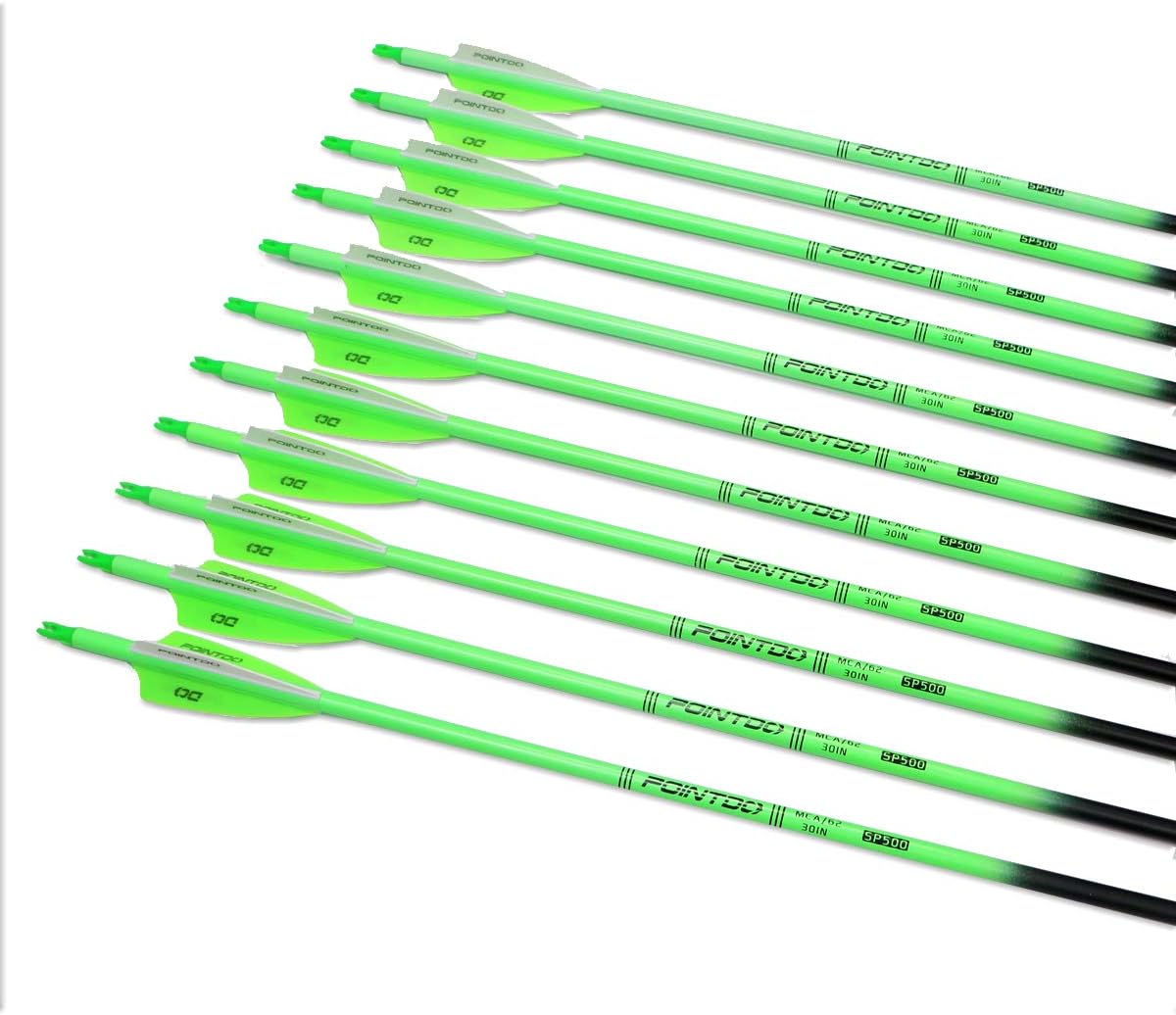 30inch Carbon Arrow Fluorescence Color Targeting and Practice and Hunting Arrows for Compound Bow and Recurve Bow with Removable Tips(Pack of 12)