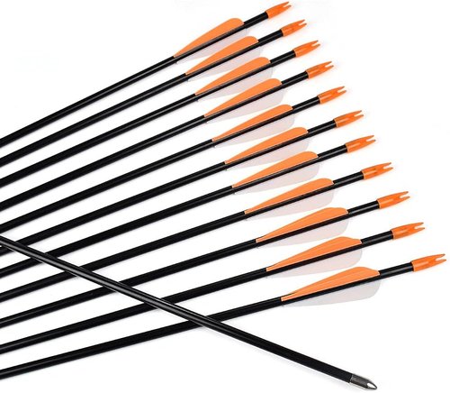 Elong Fiberglass Arrows Archery 24 26 28 30Inch Target Shooting Practice Safetyglass Recurve Bows Suitable for Youth Children Woman Beginner