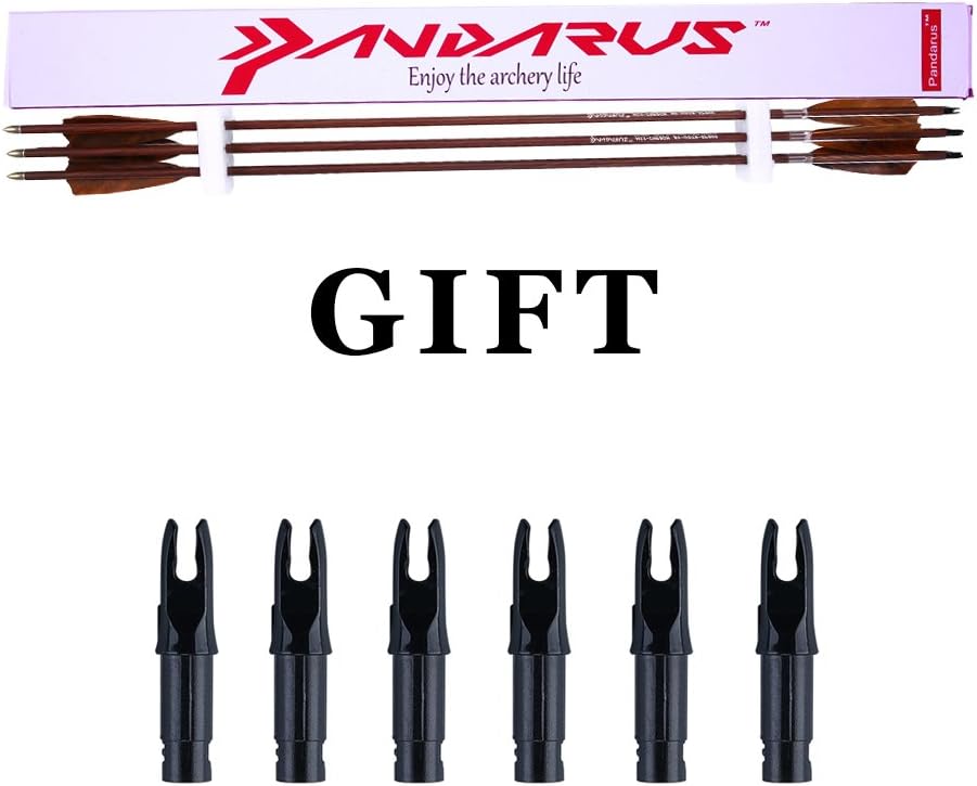 Archery 31-Inch Carbon Hunting Arrows, 4-Inch Turkey Feather Fletching with Replaceable Points, Targeting Practice Arrows Spine 500 for Recurve & Traditional Bows