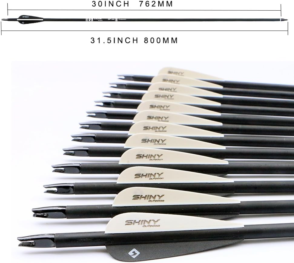 30Inch Carbon Arrow Practice Hunting Arrows with Removable Tips for Compound & Recurve Bow(Pack of 12)