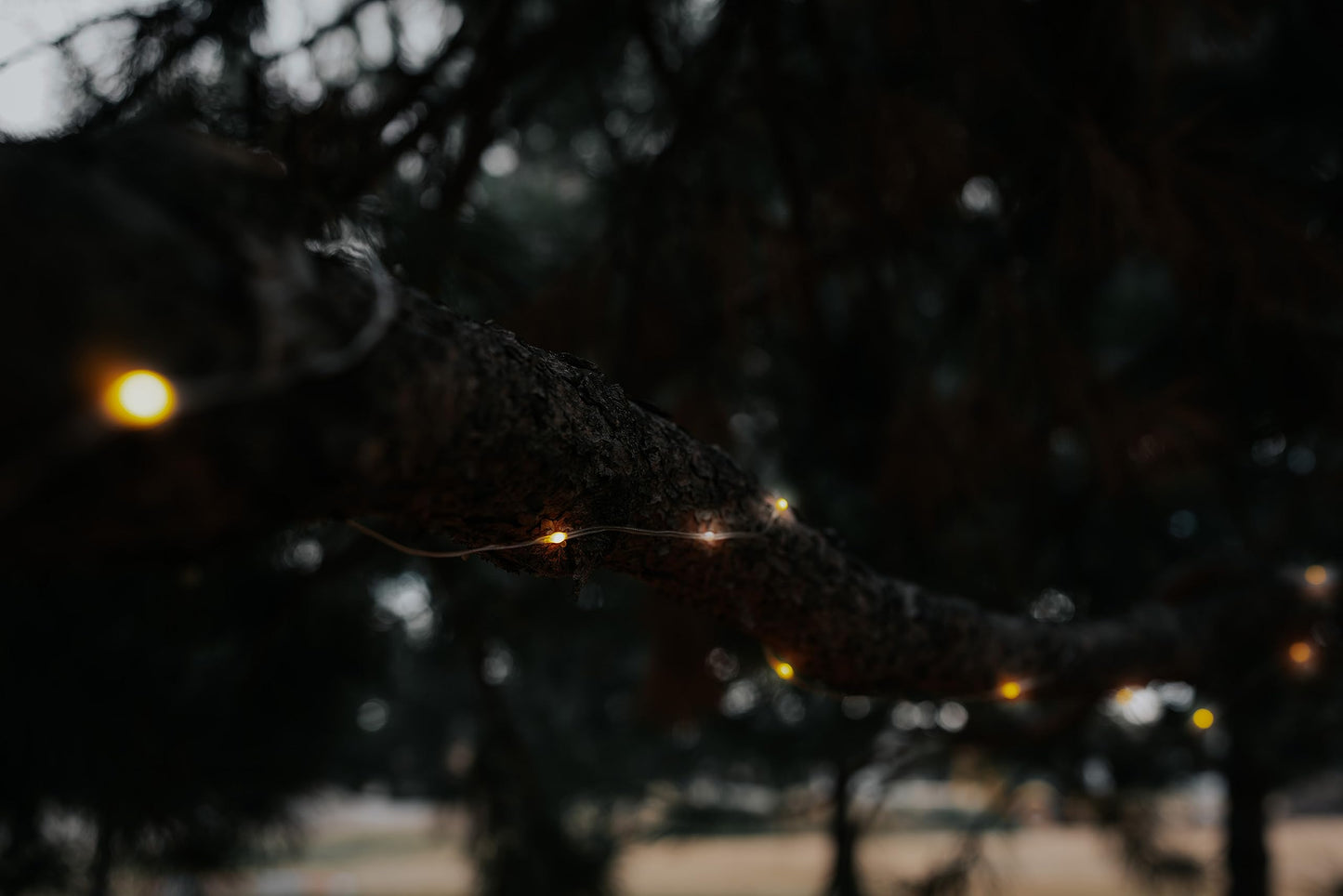 Stansport 117-100 30' LED Outdoor String Lights with Remote
