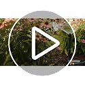 Multi-Adjustable Garden Watering Set with 3 Sprinklers & 2 Hoses – Covers 1800 sq ft