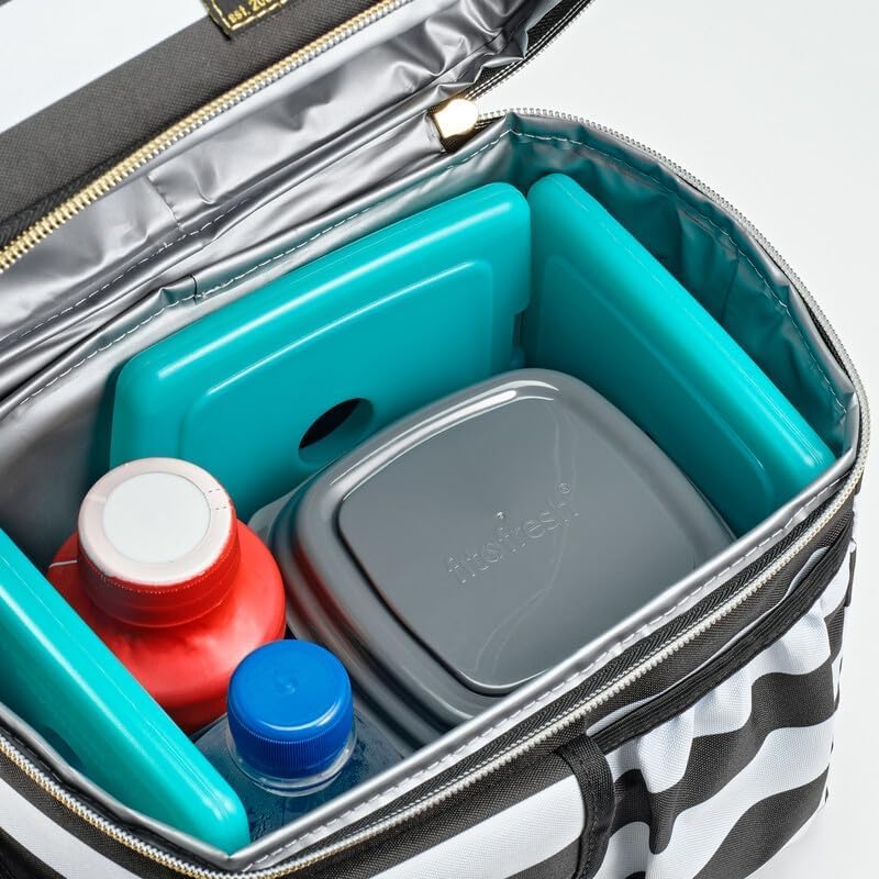 Cool Coolers by Fit + Fresh, Reusable & Long-Lasting Slim Ice Packs, Cold Packs for Lunch Boxes, Ice Packs for Lunch Bags, Green 12 Pack